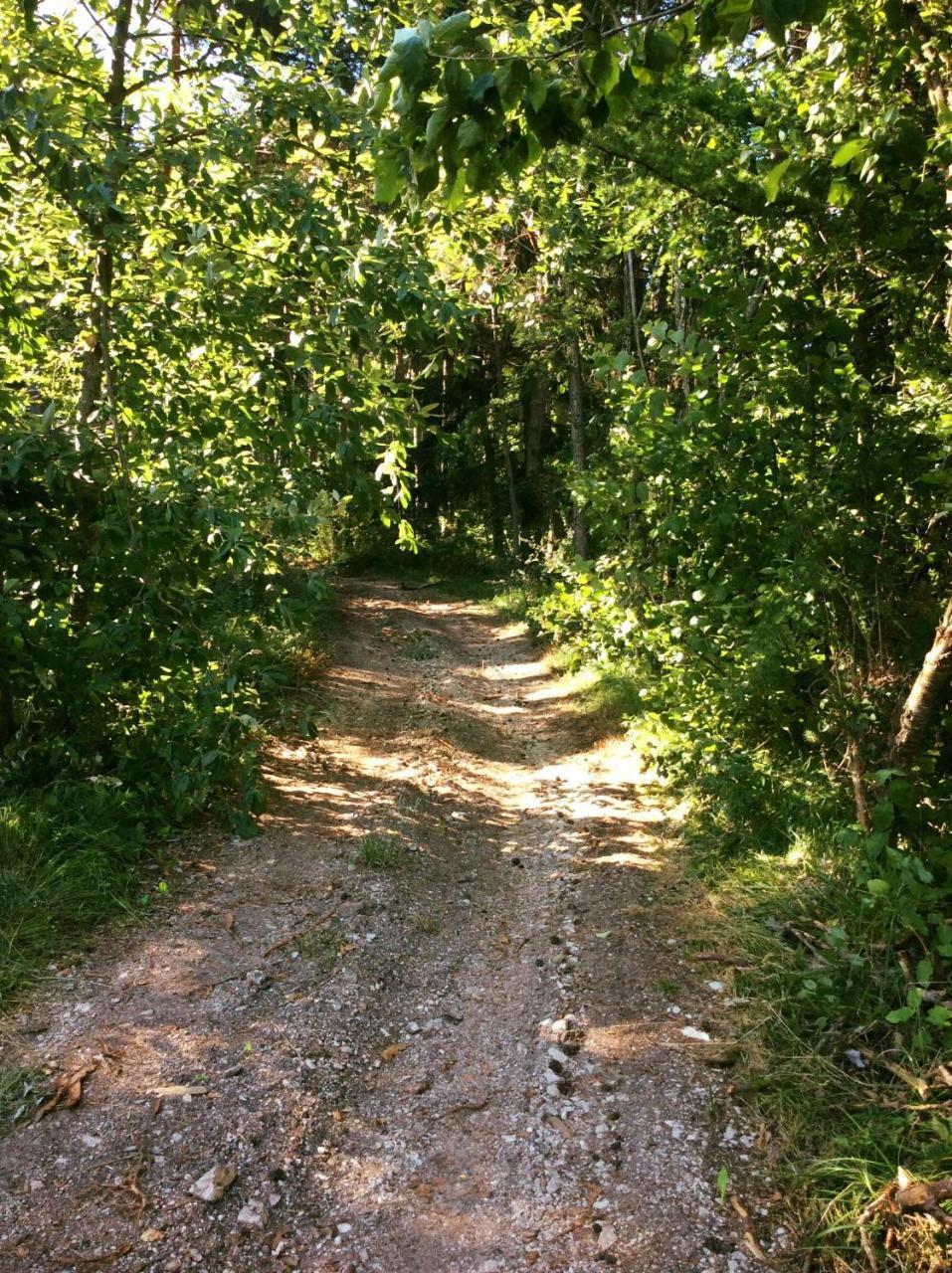 Cloz Agriturismo Maso Tafol 빌라 외부 사진